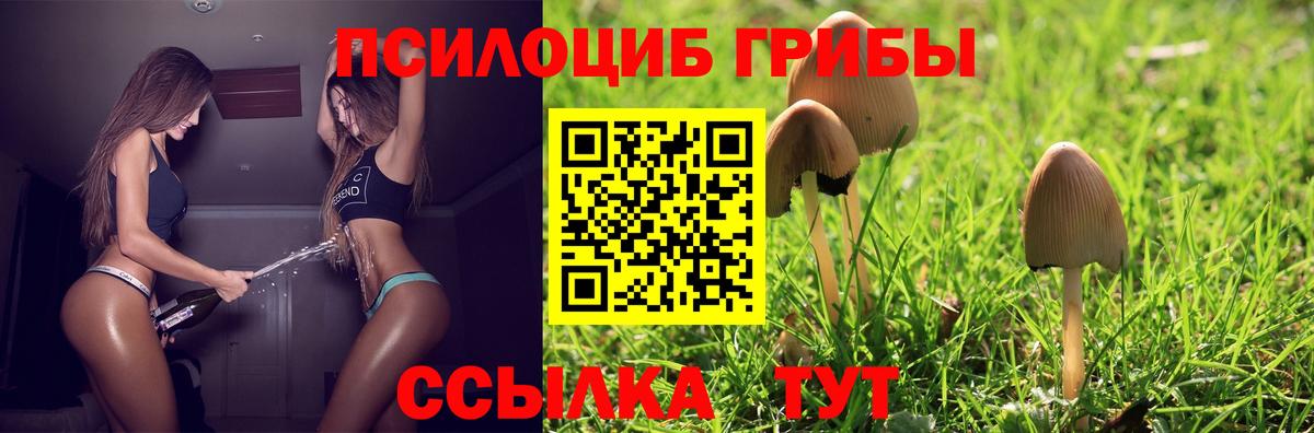 Псилоцибиновые грибы ЛСД  Псилоцибиновые грибы Psilocybine cubensis  Вход с VPN  Верхний Уфалей 