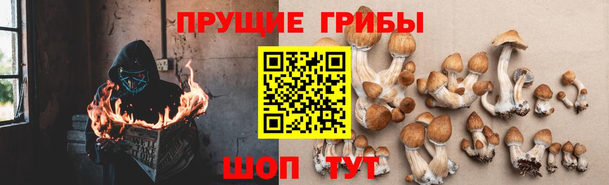 Галлюциногенные грибы ЛСД Верхний Уфалей
